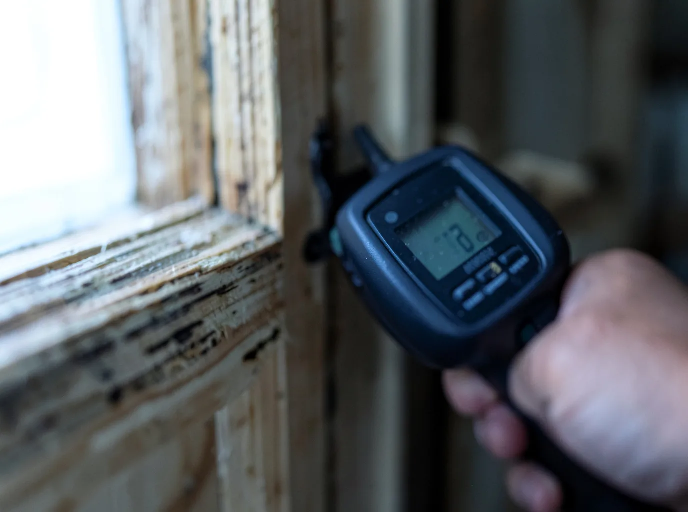 Moisture Inspection And Documentation in Cactus, TX